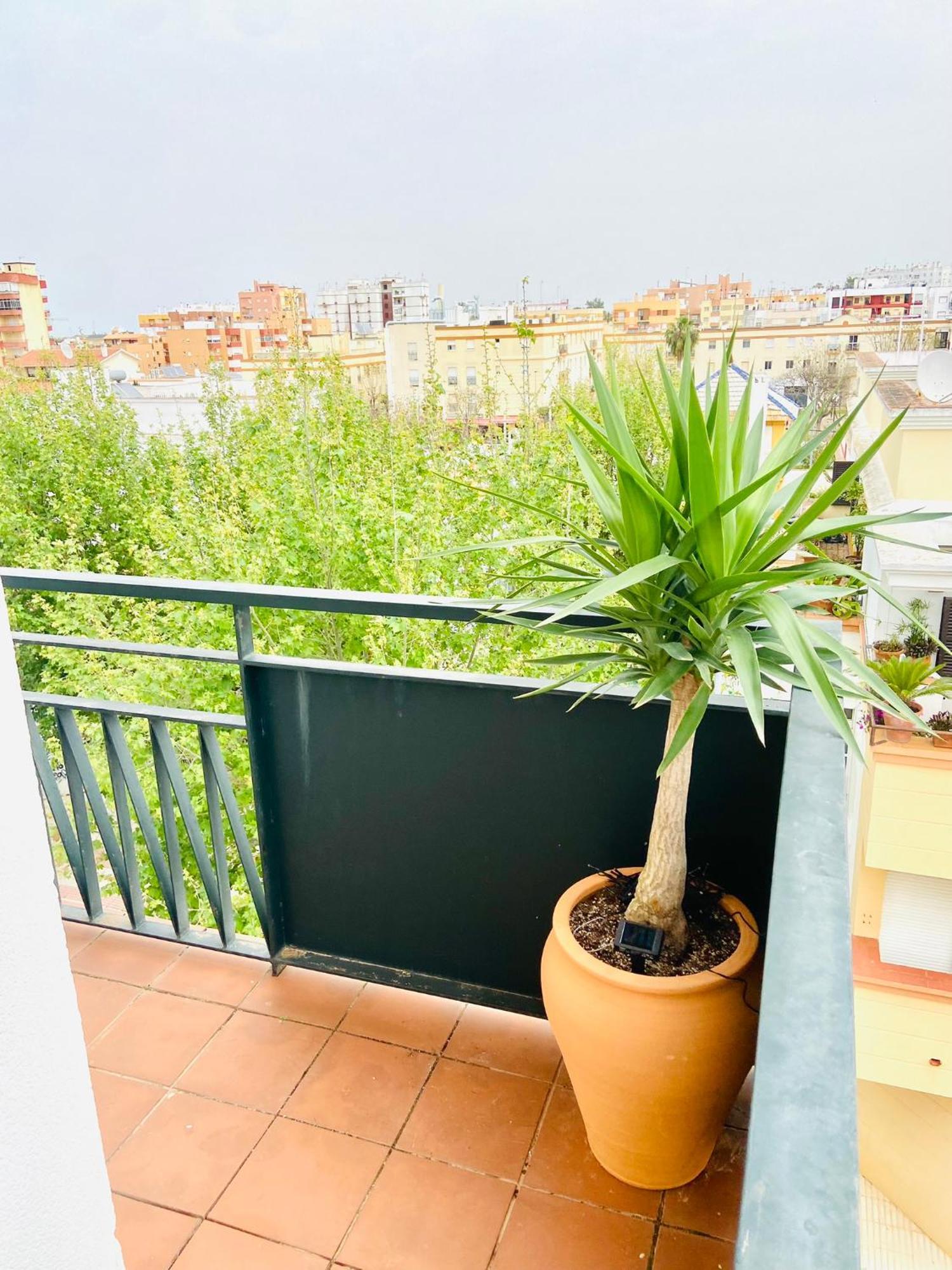 Apartment Atico Centro Y Playa Sanlúcar de Barrameda